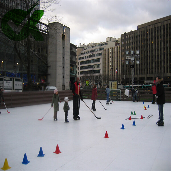 Ice rink for parties